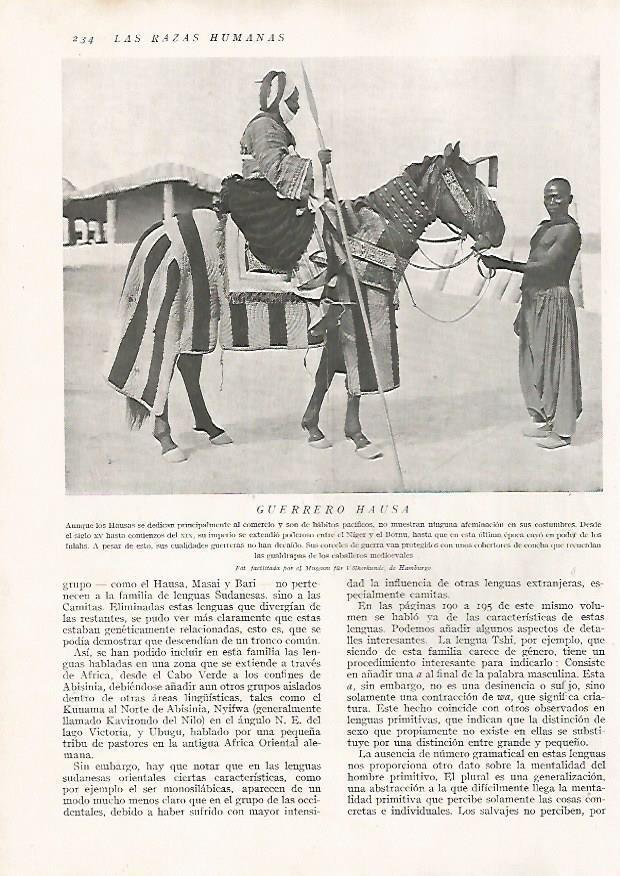 LAMINA 15677: Guerrero Hausa