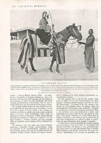 LAMINA 15677: Guerrero Hausa