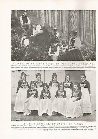 LAMINA 15752: Mujeres de la Selva Negra y frisonas en traje de fiesta