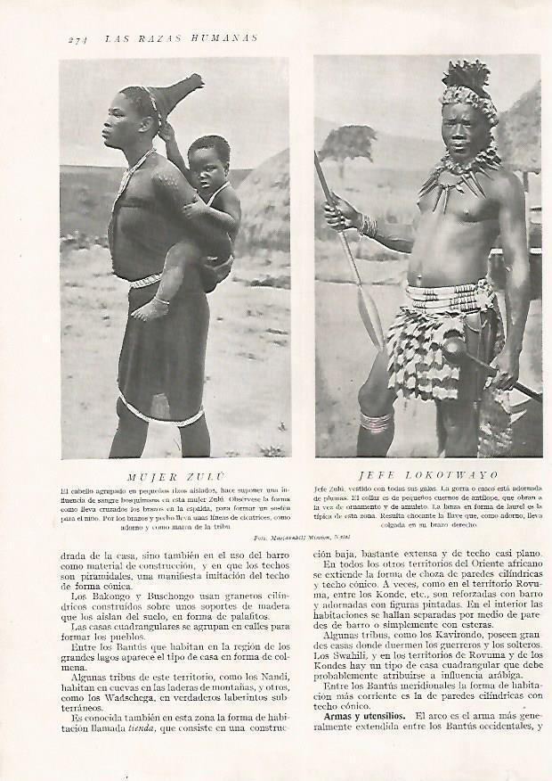 LAMINA 15701: Jefe Lokotwayo y mujer zulu