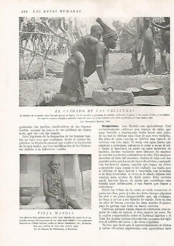 LAMINA 15700: Madre zulu y mujer mandja