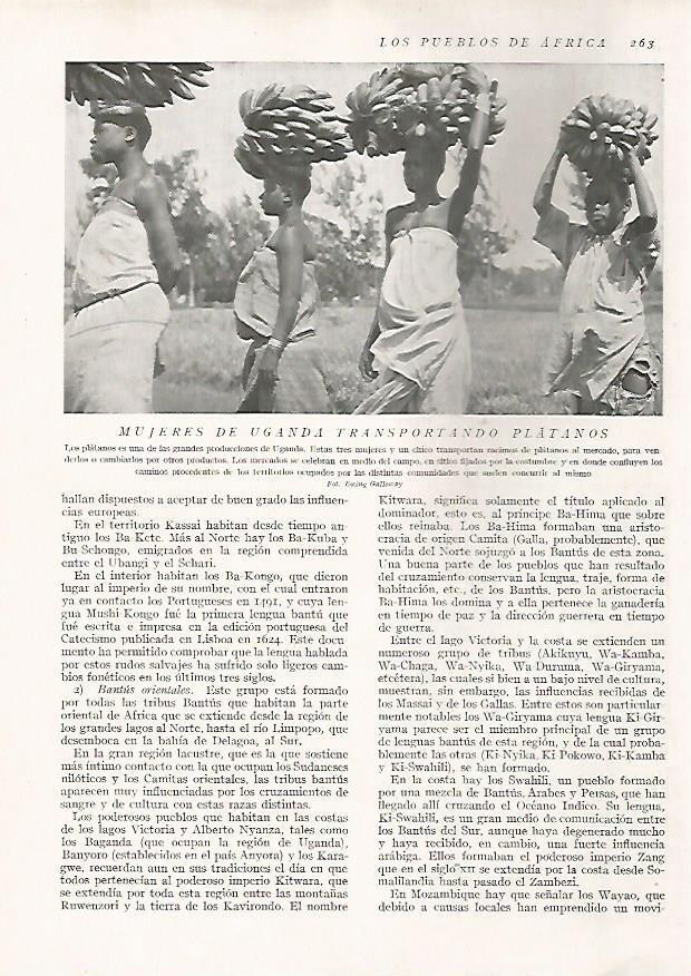 LAMINA 15692: Mujeres de Uganda llevando platanos