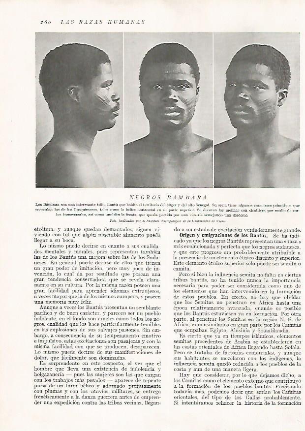 LAMINA 15690: Hombres bambara