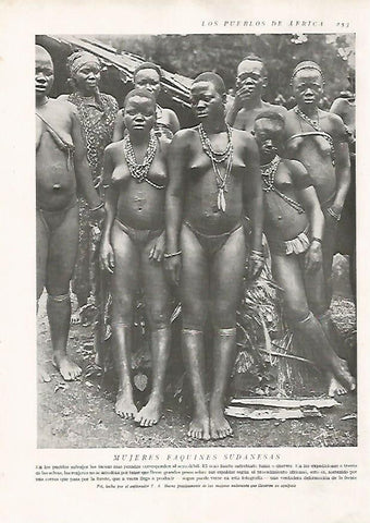 LAMINA 15687: Mujeres faquines de Sudan