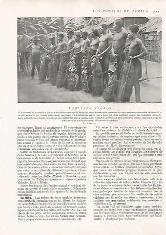 LAMINA 15683: Portadores Ntuma
