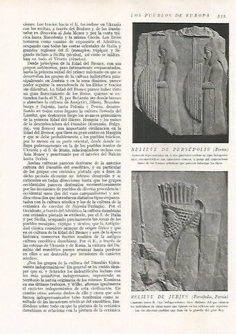 LAMINA 15735: Relieves de Persepolis, Iran