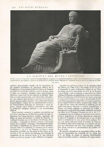 LAMINA 15733: La Agripina del Museo Capitolino