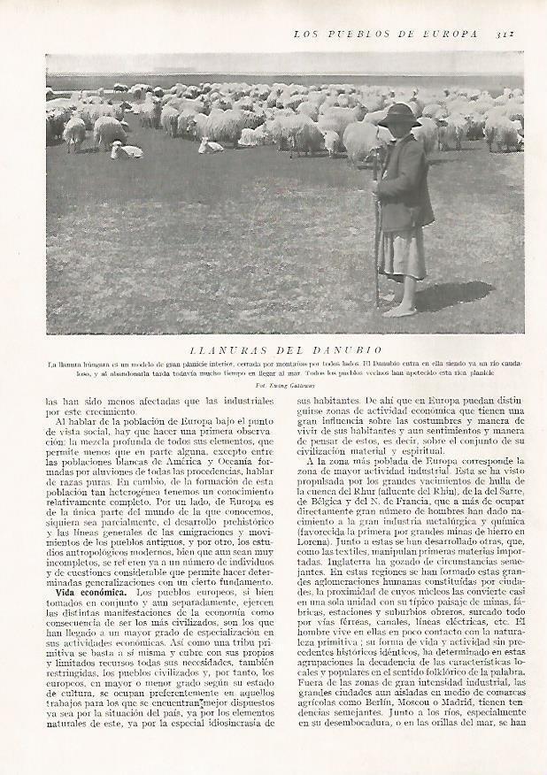 LAMINA 15724: Llanuras del Danubio
