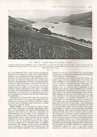 LAMINA 15723: El Rhin