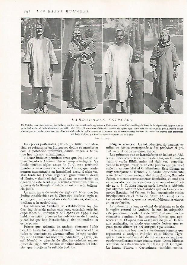 LAMINA 15718: Labradores de Egipto