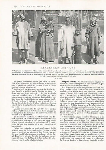 LAMINA 15718: Labradores de Egipto