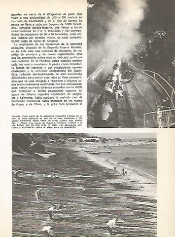 LAMINA 15365: Pescadores en los mares de Kushiro y Nemuro de Japon