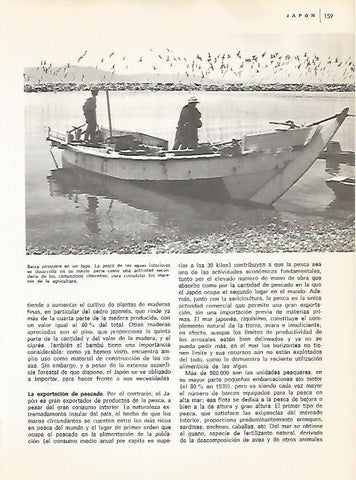 LAMINA 15363: Pescadores en Japon