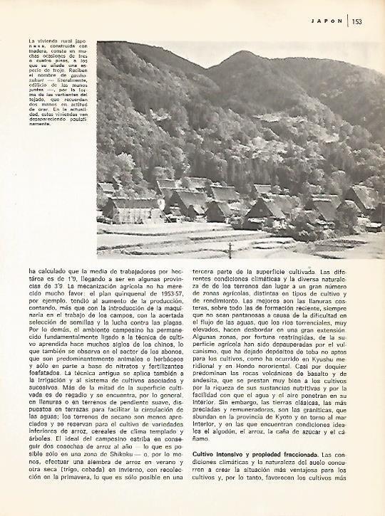 LAMINA 15360: Viviendas rurales en Japon