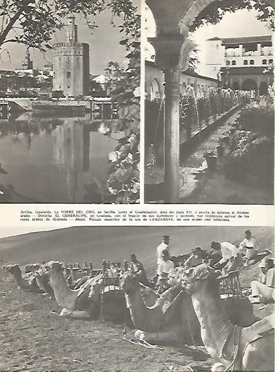LAMINA 15303: Torre del Oro, Generalife y Lanzarote