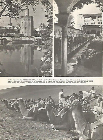 LAMINA 15303: Torre del Oro, Generalife y Lanzarote