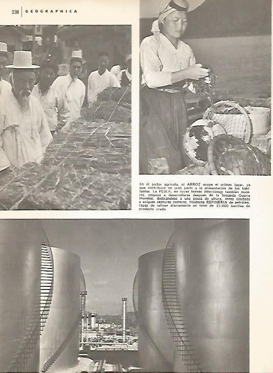 LAMINA 15405: Sector del arroz en Corea