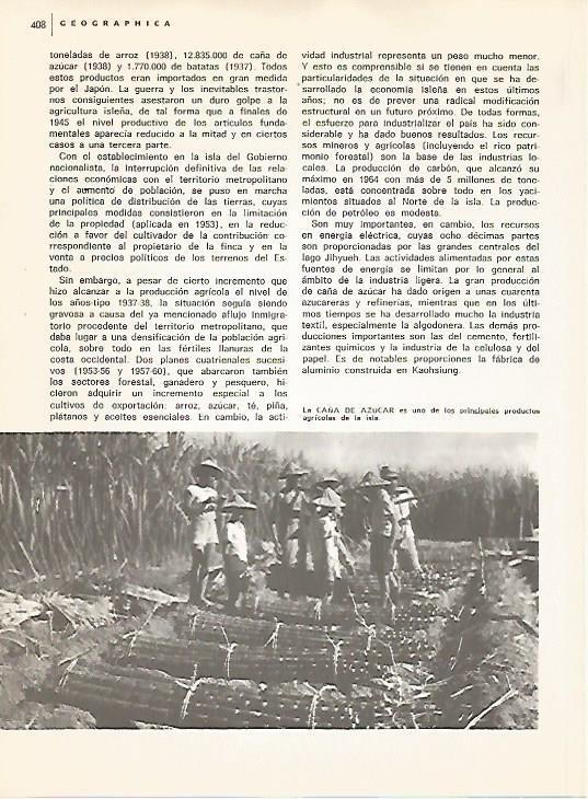 LAMINA 15498: Caña de azucar en Formosa