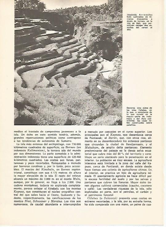 LAMINA 15531: Arrozales en Bali