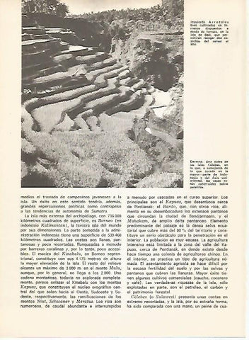 LAMINA 15531: Arrozales en Bali