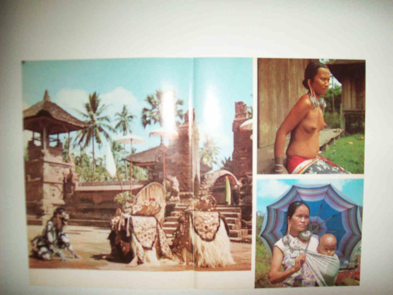 LAMINA 15530: Danza burong en Bali y habitantes de Borneo, Indonesia