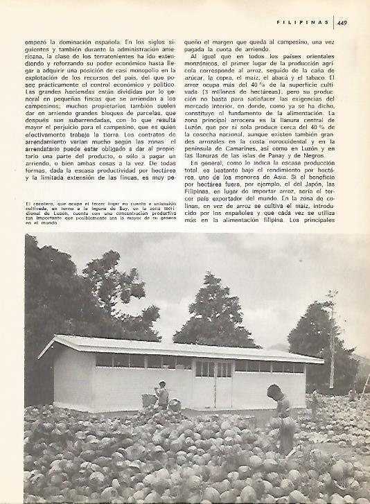 LAMINA 15523: Cocoteros en Luzon, Filipinas