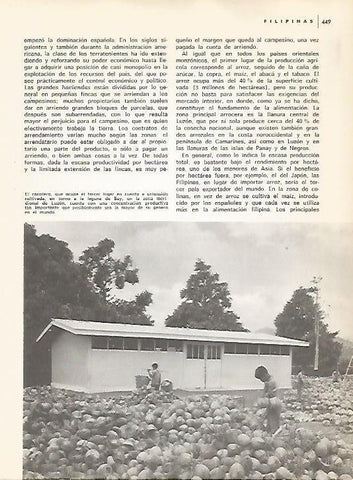 LAMINA 15523: Cocoteros en Luzon, Filipinas
