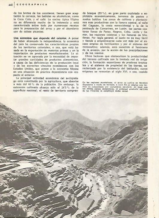 LAMINA 15521: Cultivos de arroz en Filipinas