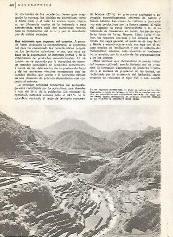 LAMINA 15521: Cultivos de arroz en Filipinas