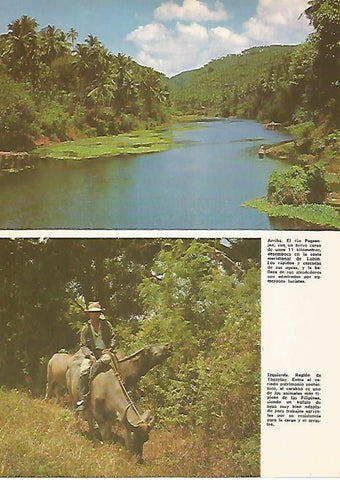 LAMINA 15516: El rio Pagsanjan y region de Tagaytay