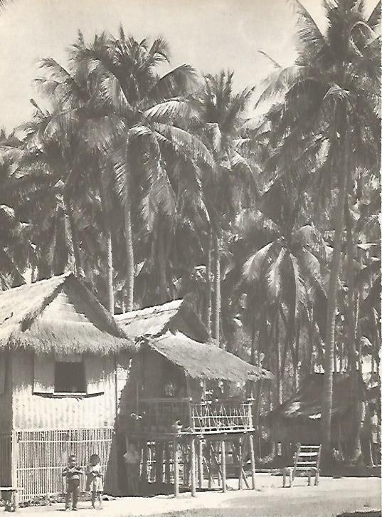 LAMINA 15513: Poblado de Asia