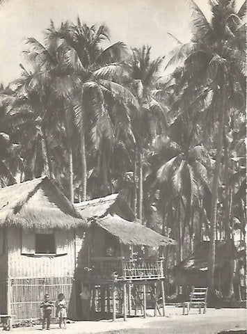 LAMINA 15513: Poblado de Asia