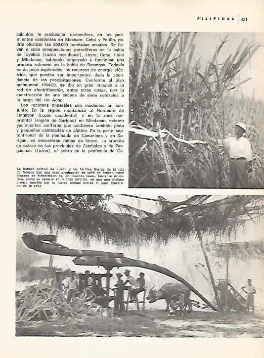 LAMINA 15524: Produccion de caña de azucar en Filipinas