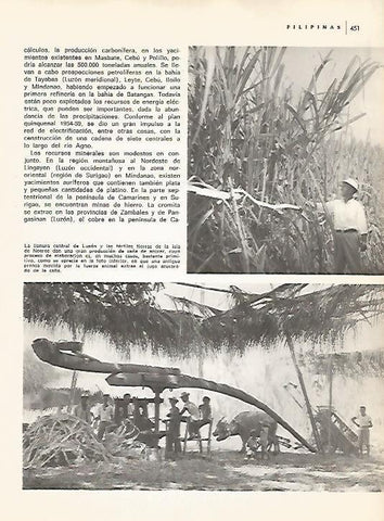 LAMINA 15524: Produccion de caña de azucar en Filipinas