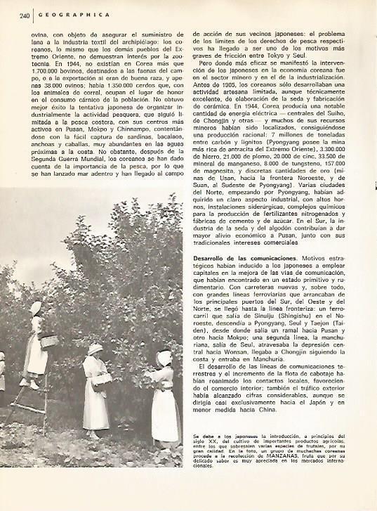 LAMINA 15406: Recoleccion de manzanas en Corea