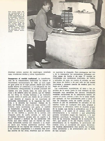 LAMINA 15437: Cocina tipica de China