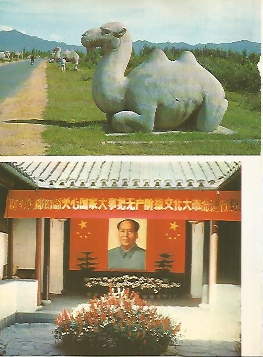 LAMINA 15425: Avenida en Nanking y efigie de Mao