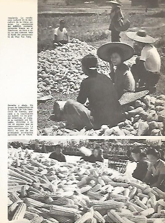LAMINA 15441: Campesinos en Fua Shen, China