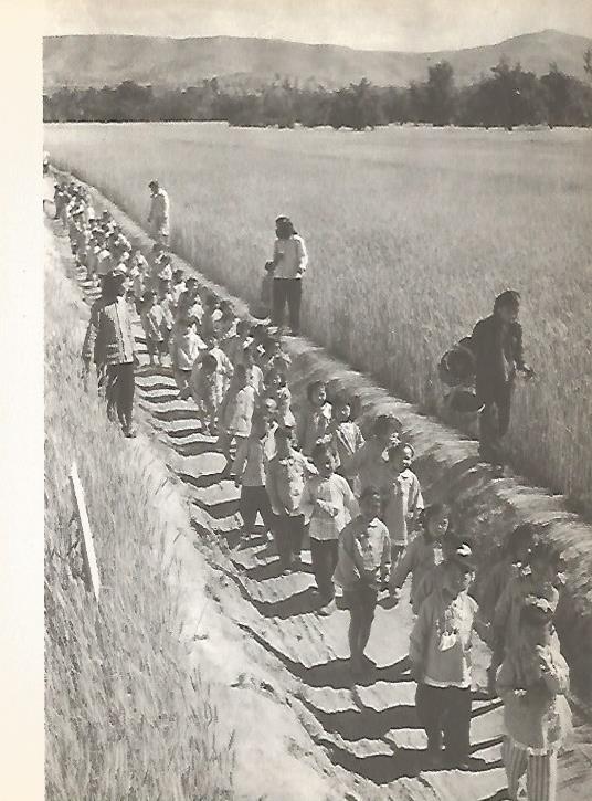 LAMINA 15462: Niños en China