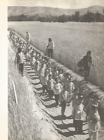 LAMINA 15462: Niños en China