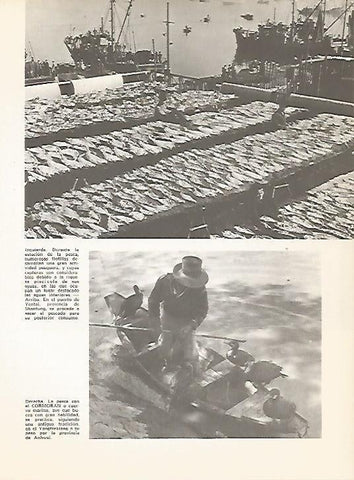 LAMINA 15451: Puerto de Yentai y pesca con cormoran en China
