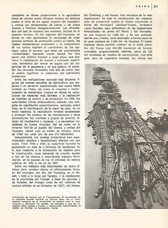 LAMINA 15450: Conduccion de troncos en China