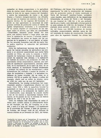 LAMINA 15450: Conduccion de troncos en China