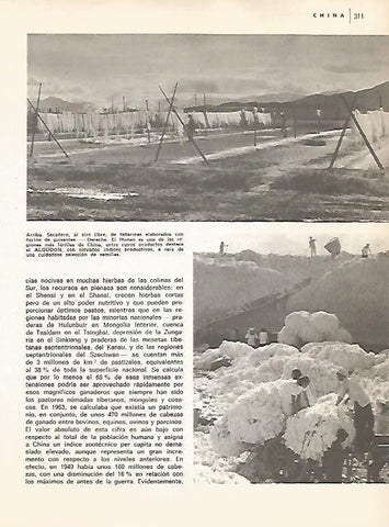 LAMINA 15448: Secadero de tallarines en  China