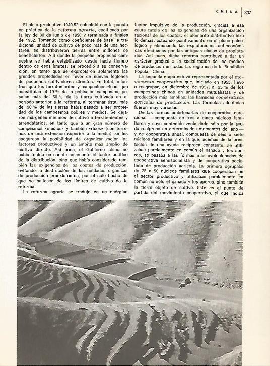 LAMINA 15446: Campos agricolas de China