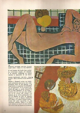 LAMINA 15911: Desnudo rosado, por Matisse y Angulo de mesa, por P. Bonnard