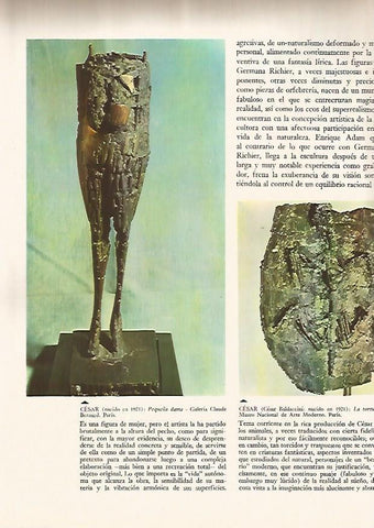LAMINA 15977: Pequeña Dama y La Tortuga, por Cesar 