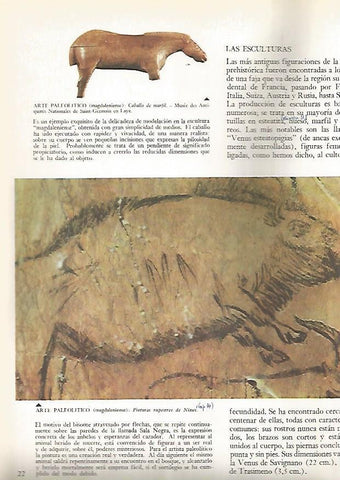LAMINA 15820: Pintura rupestre de Niaux