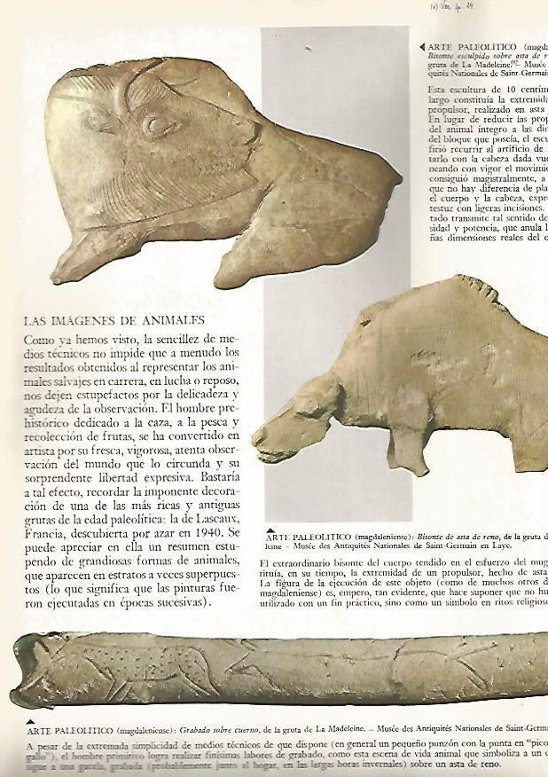 LAMINA 15821: Relieves paleoliticos de La Madeleine