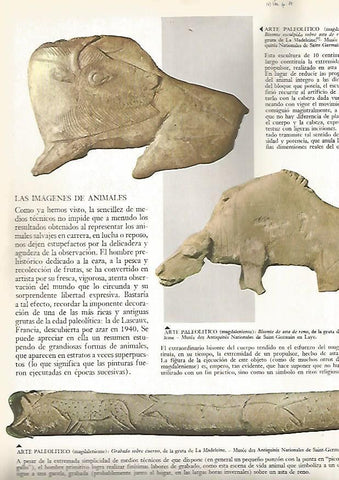 LAMINA 15821: Relieves paleoliticos de La Madeleine
